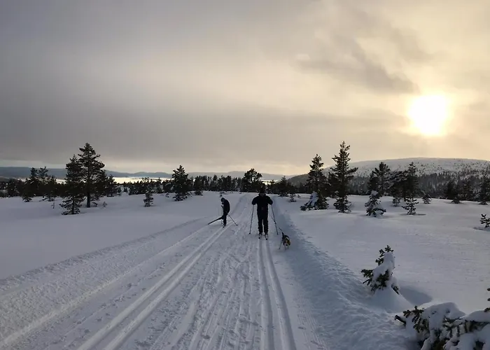 Hytta Pa Oyfjell