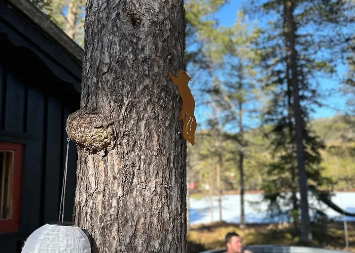 Hytta Pa Oyfjell