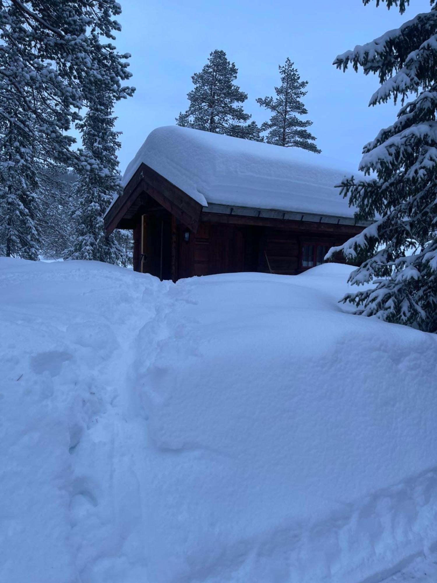 Hytta Pa Oyfjell