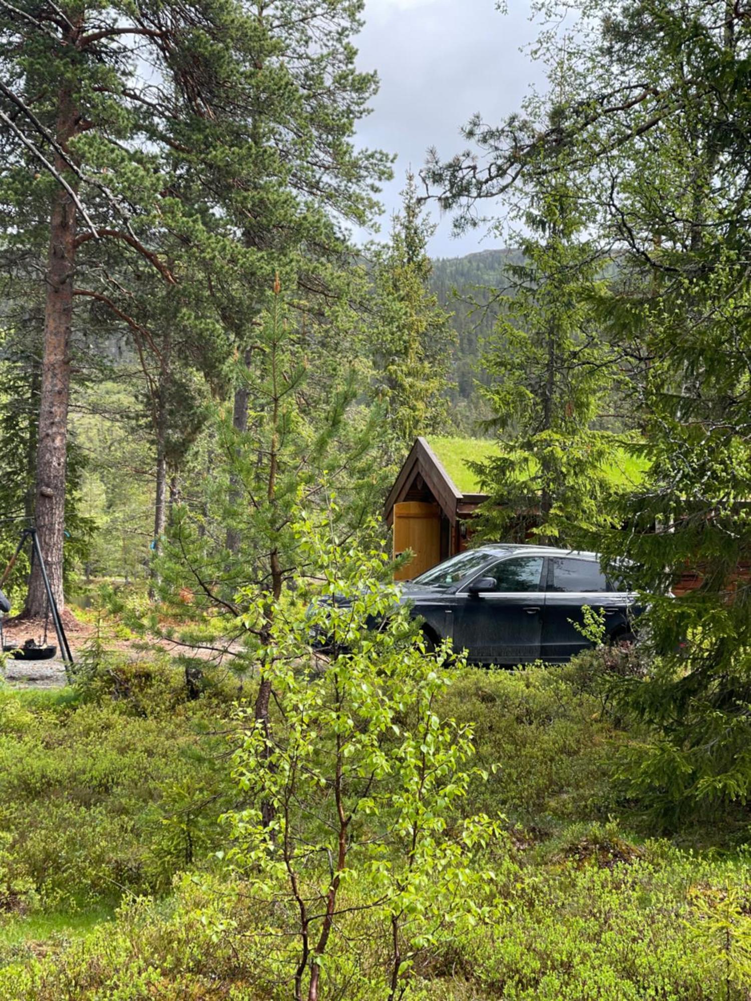 Hytta Pa * Oyfjell