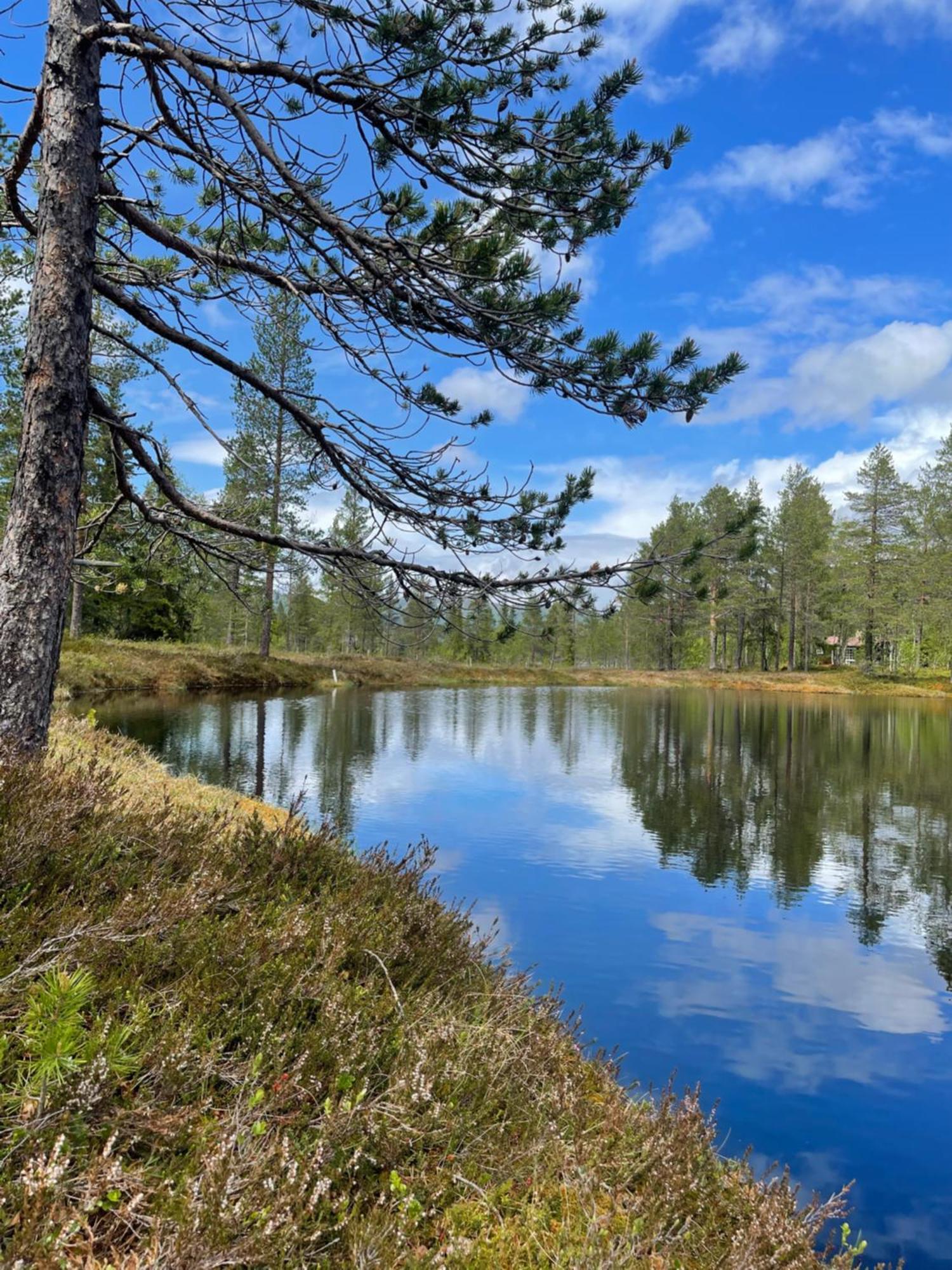 Holiday home Hytta Pa Oyfjell