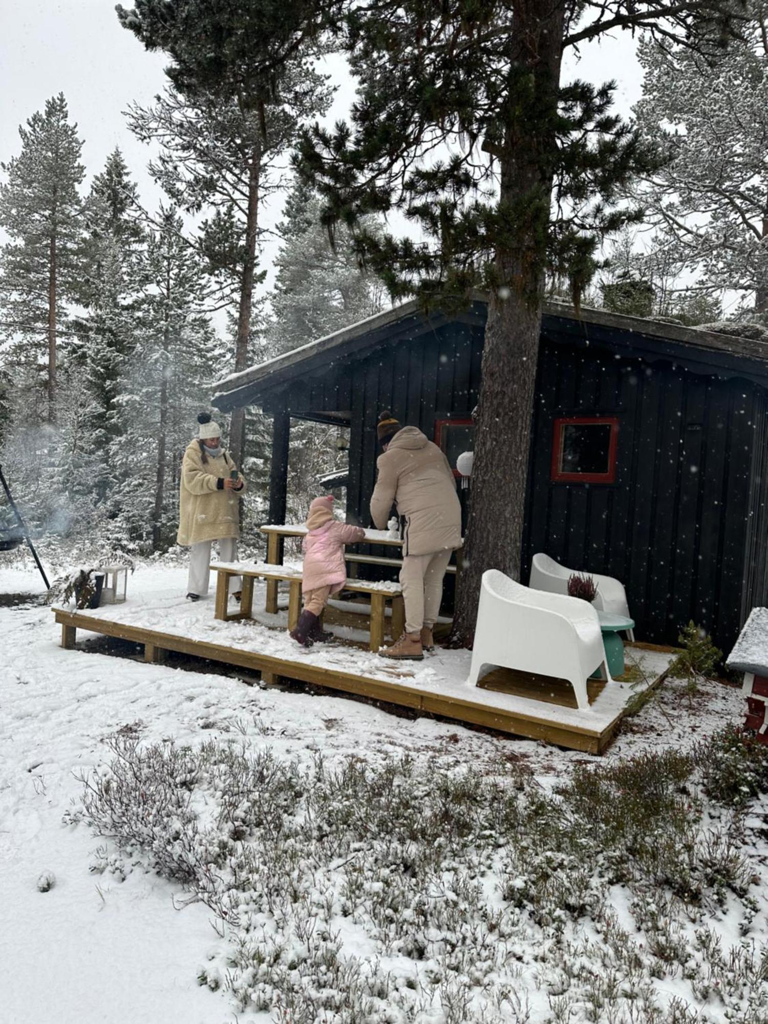 Holiday home Hytta Pa Oyfjell